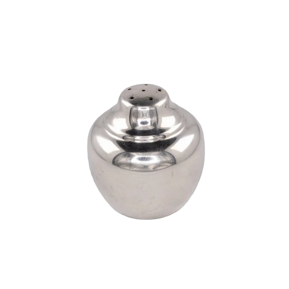 SS Salt Shaker