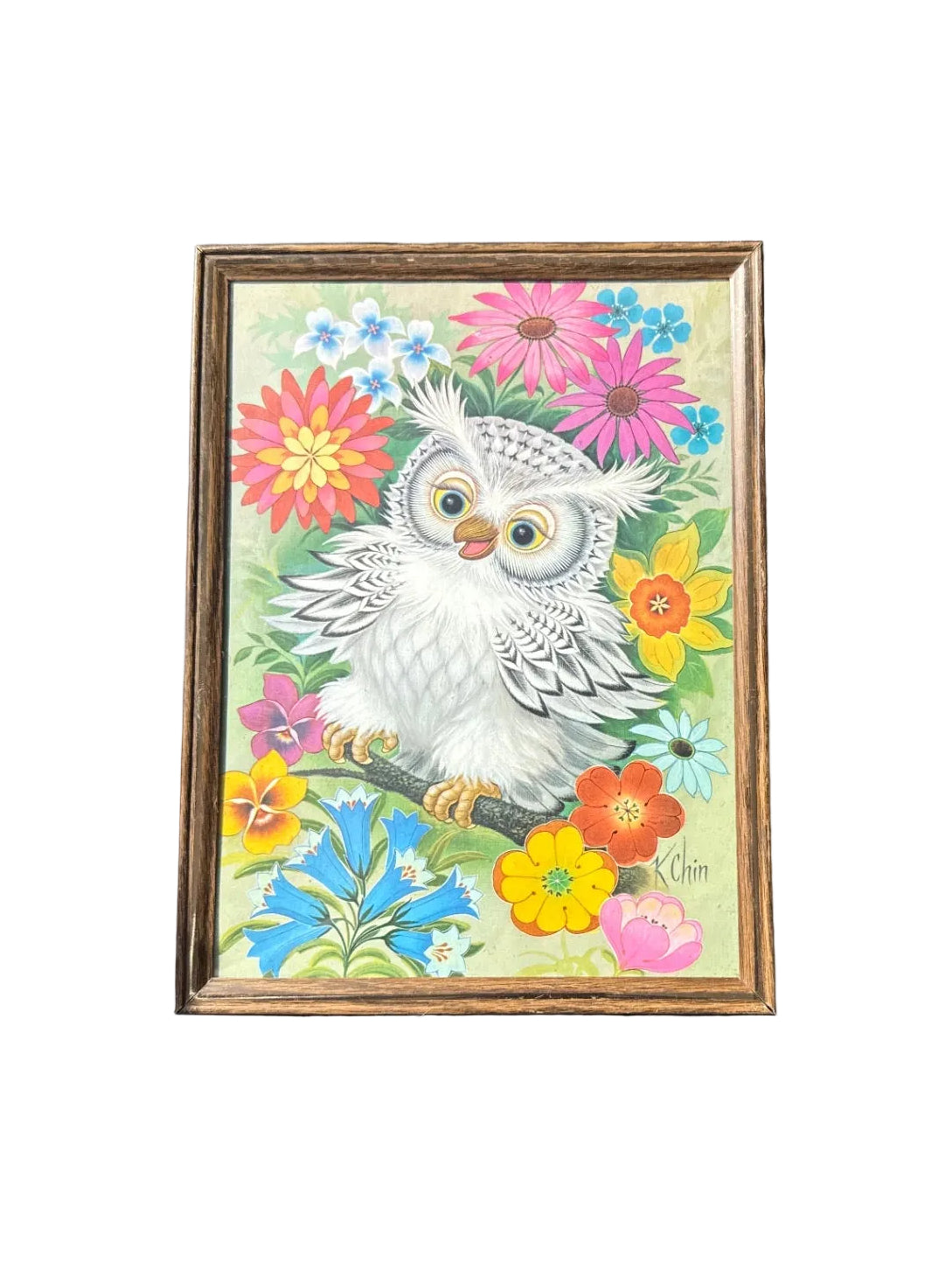 Vintage Owl Framed Art Print