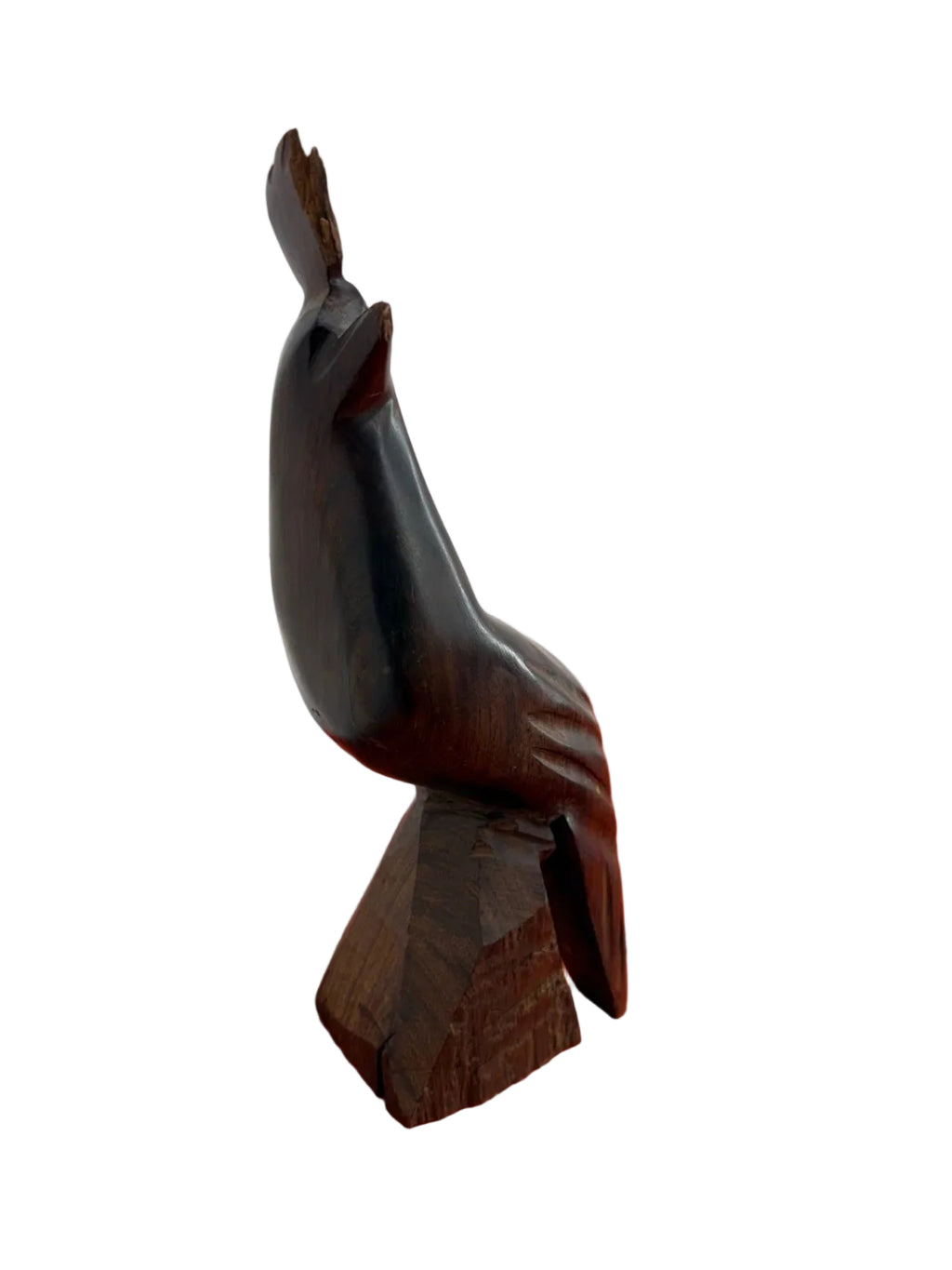 Iron Wood Quail