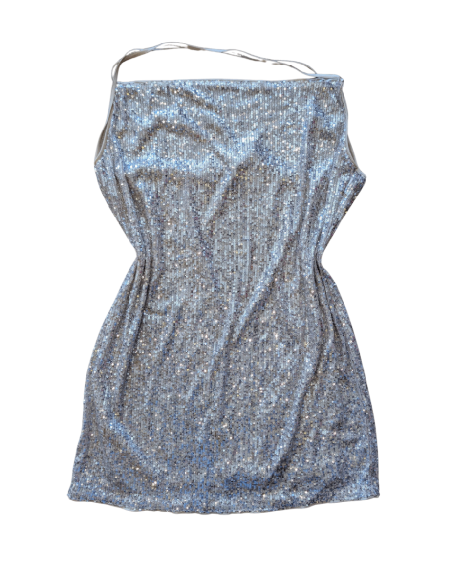 NWT Silver Sequin Dress - M