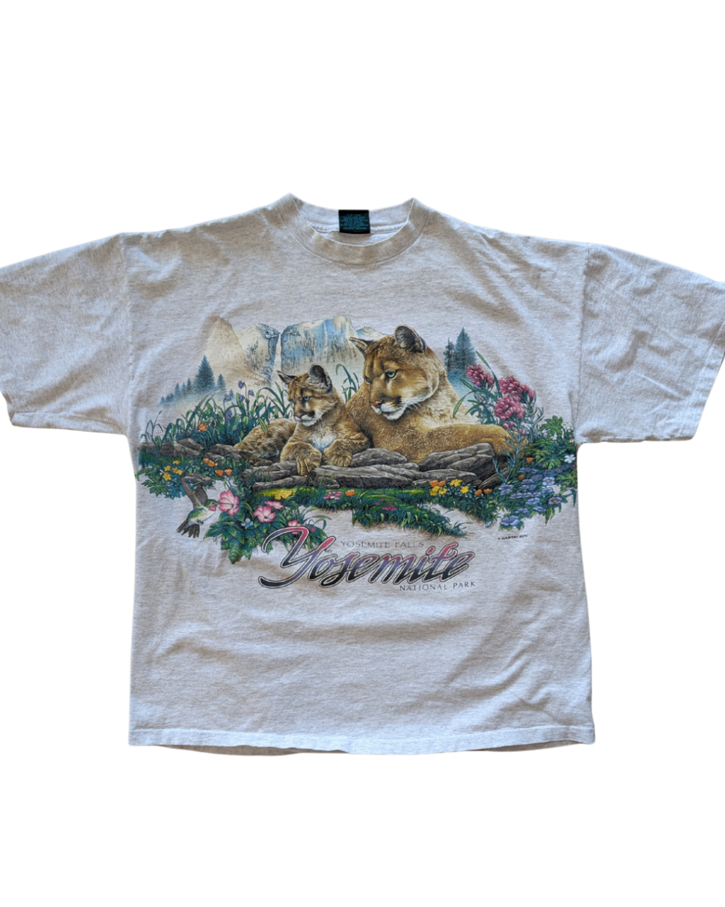 Vintage Yosemite Falls Tee - 2XL
