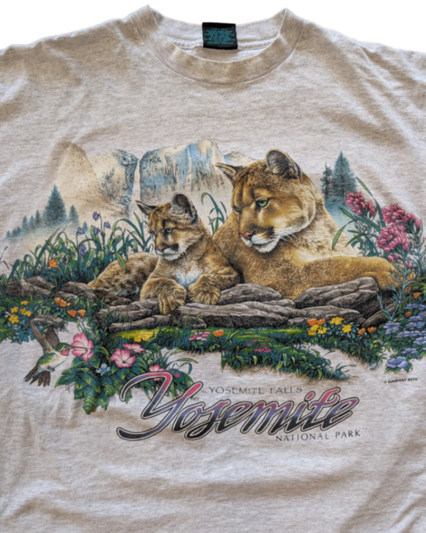 Vintage Yosemite Falls Tee - 2XL