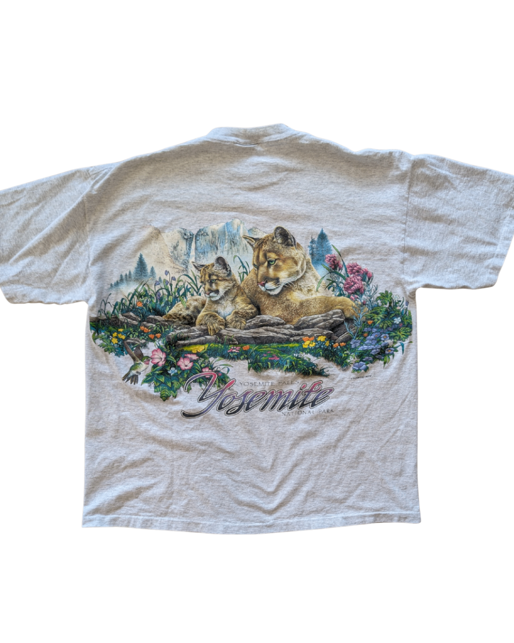 Vintage Yosemite Falls Tee - 2XL