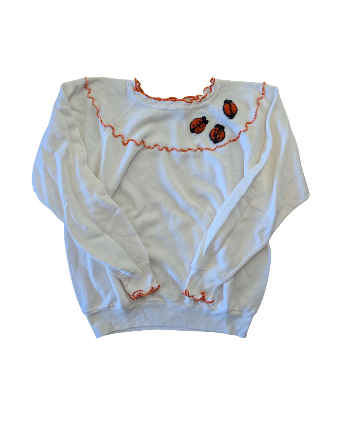 Vintage Lady Bug Sweater (M)