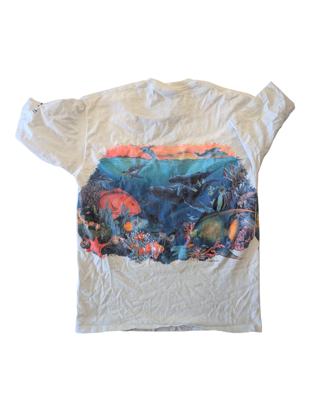 Vintage Maui Wrap Around Ocean Tee - L