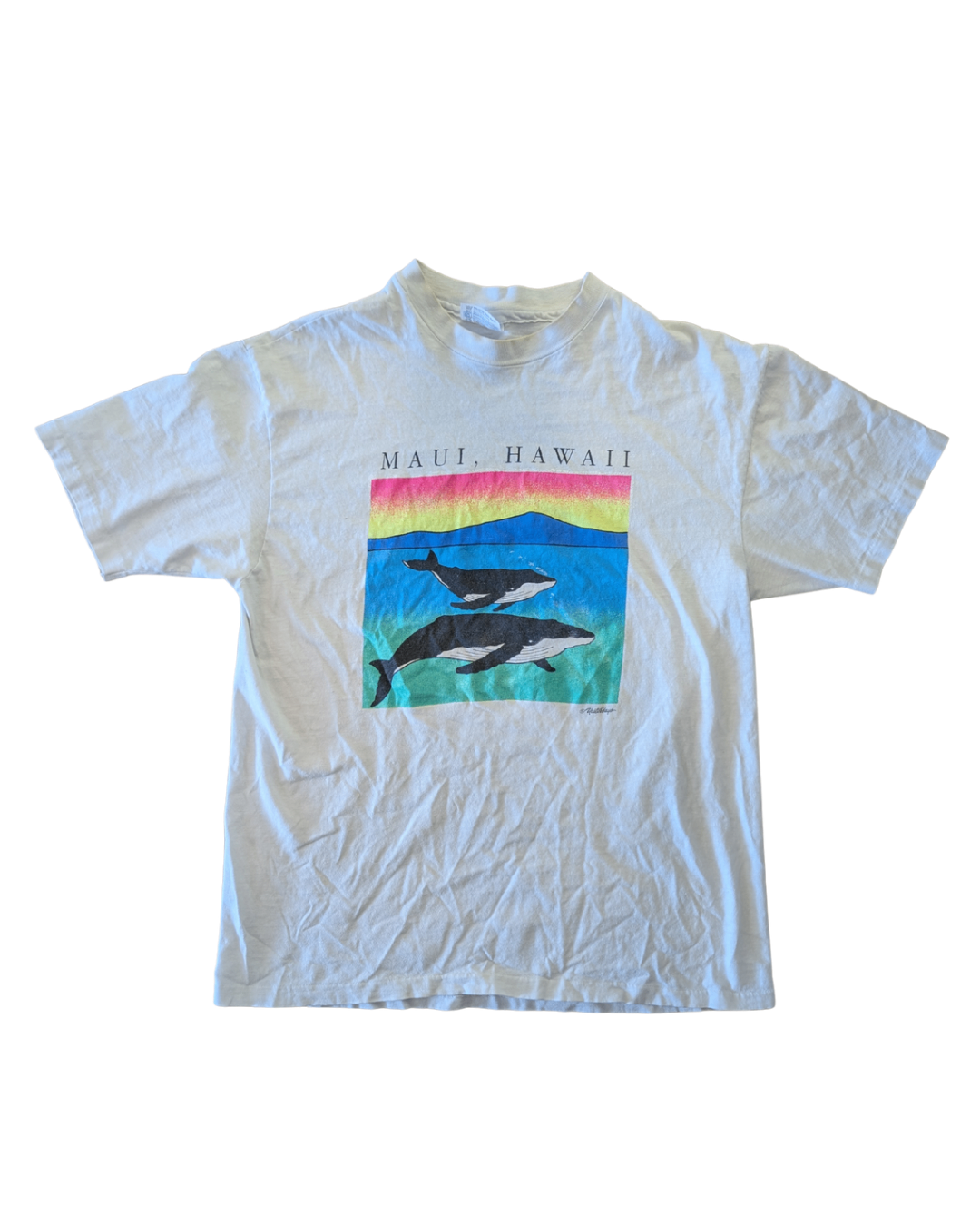 Vintage Maui, Hawaii Tee (yellowing on neck) - L