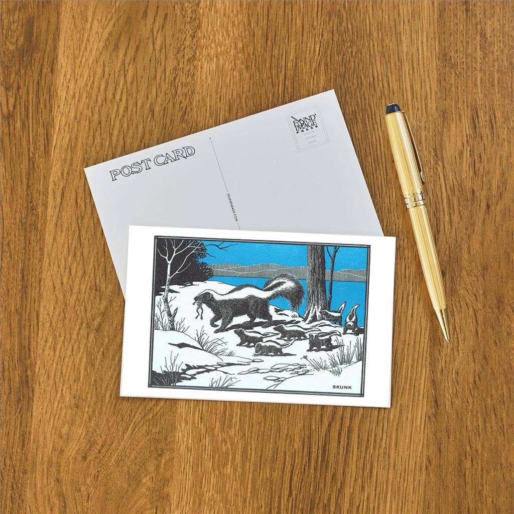 Postcard Skunk Family