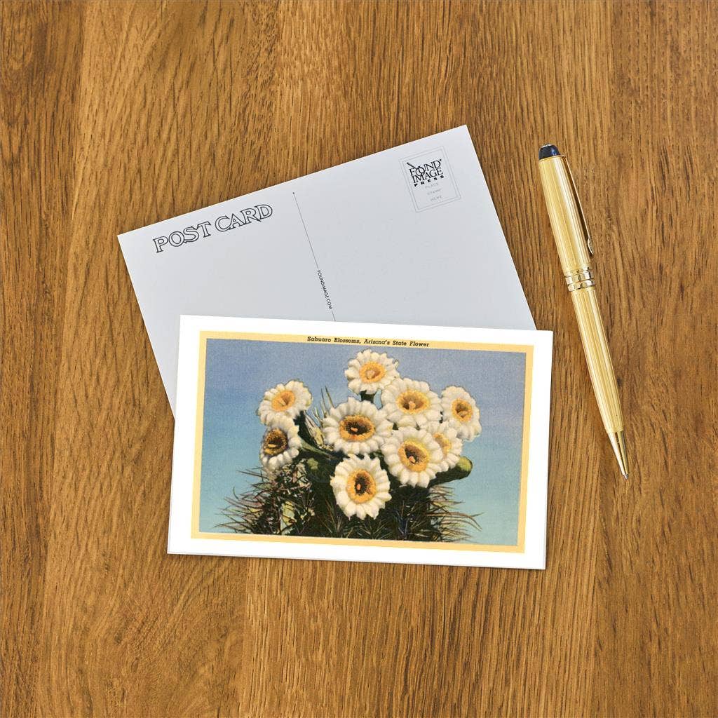 Saguaro Blossoms Postcard