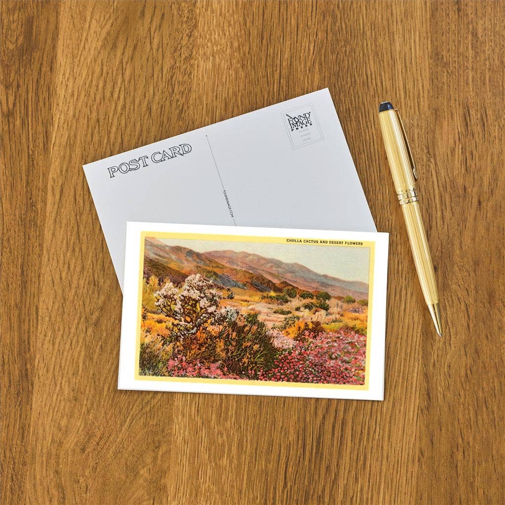 Chollas Cactus and Desert Flowers Postcard