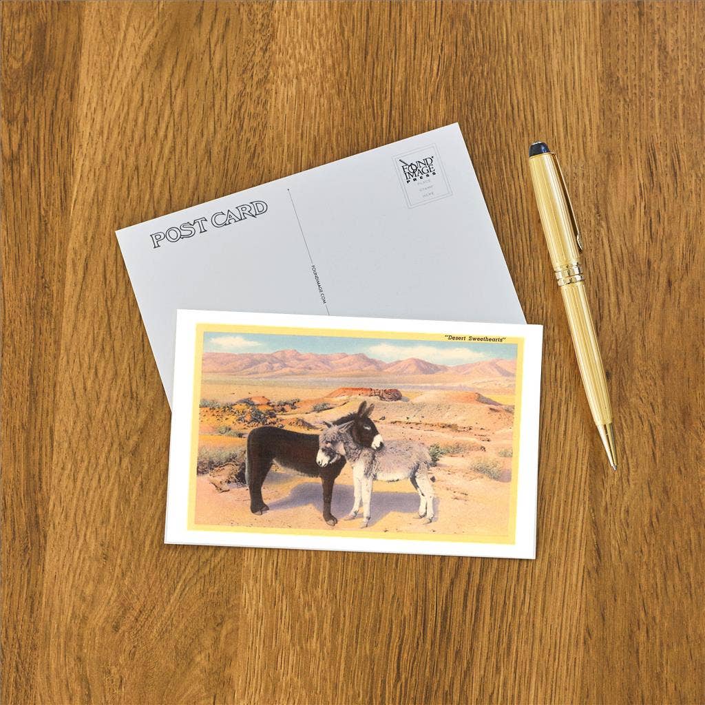 Desert Sweethearts, Nuzzling Burros Postcard