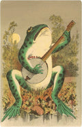 Frog Playing Banjo in Moonlight Postcard